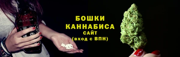 стаф Медногорск