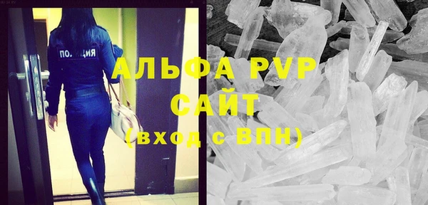 гашик Мегион