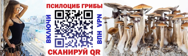Псилоцибиновые грибы Magic Shrooms Стерлитамак